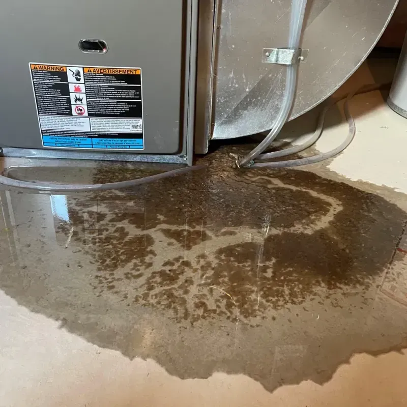 Appliance Leak Cleanup in Weirton Heights, WV